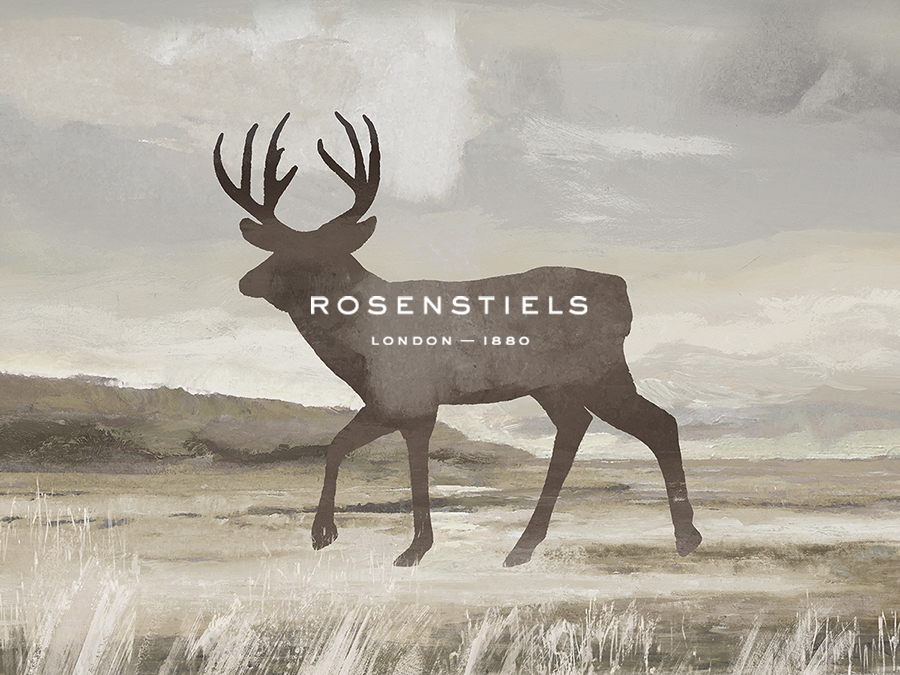 Wilderness Explorer - Deer - Anne Rushout