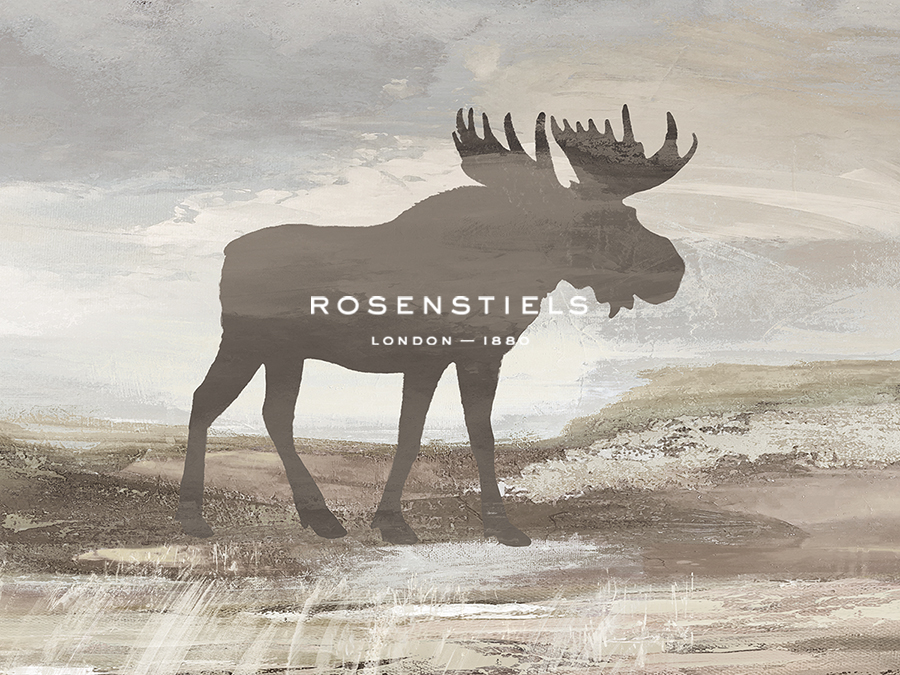 Wilderness Explorer - Moose - Anne Rushout