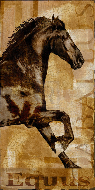 Caballus II - Mark Chandon