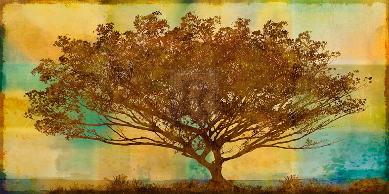 Autumn Radiance - Mark Chandon