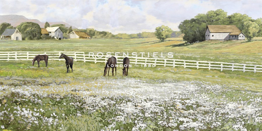 A Day in the Paddock - Mark Chandon