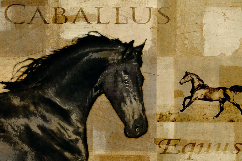 Caballus I - Mark Chandon