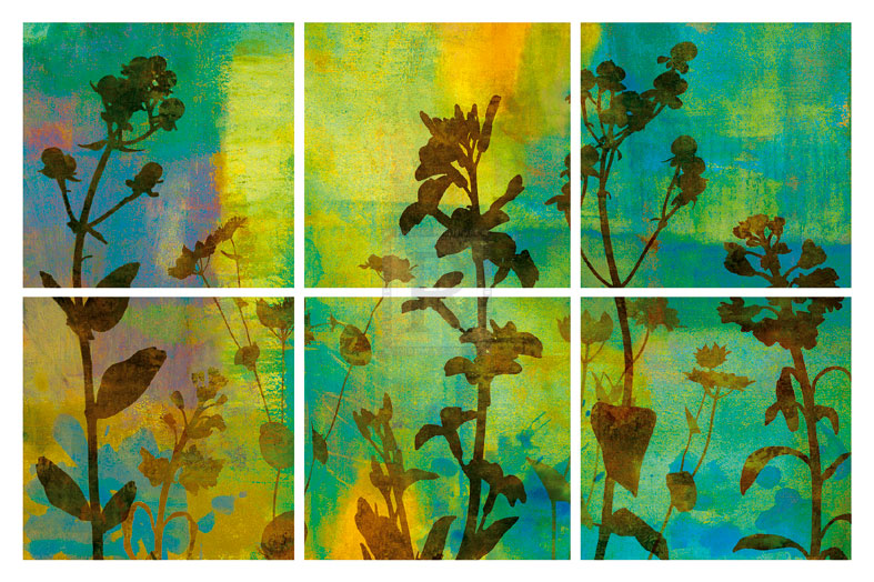 Wild Flowers I - Tania Bello