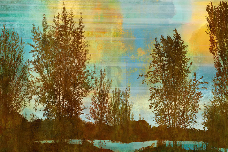 Spring Tree II - Mark Chandon