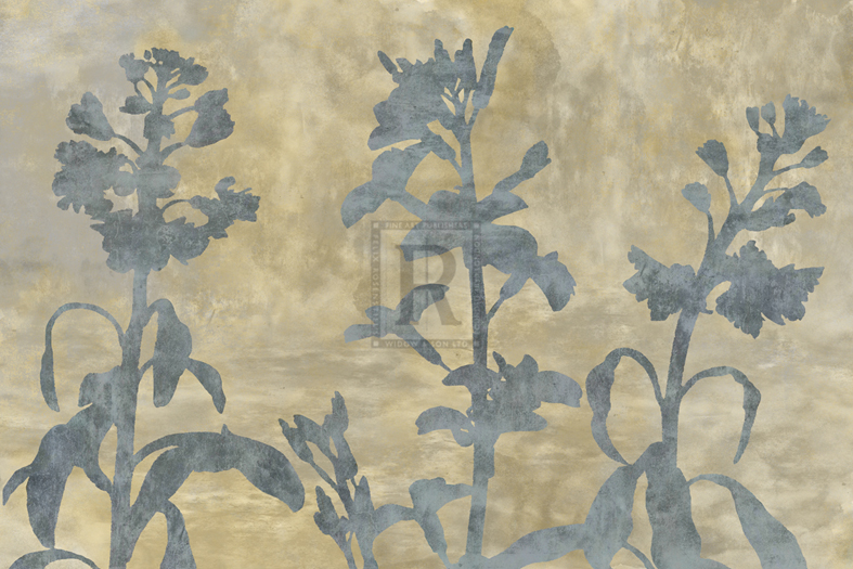 Floral Shadow - Tania Bello