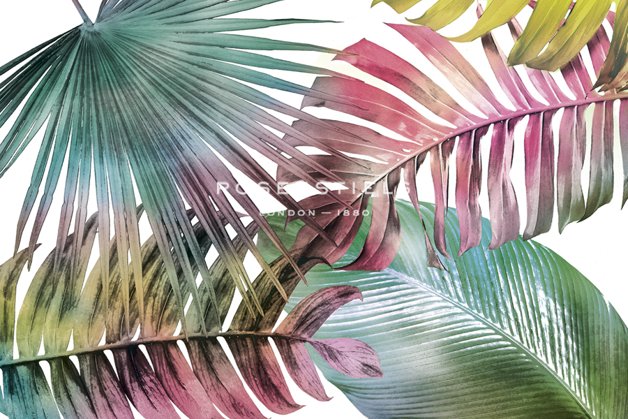 Palm Fantasy - Rainbow - Paul Duncan